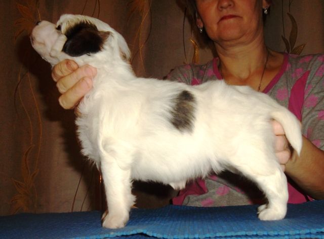 Solveig Goro Good Luck