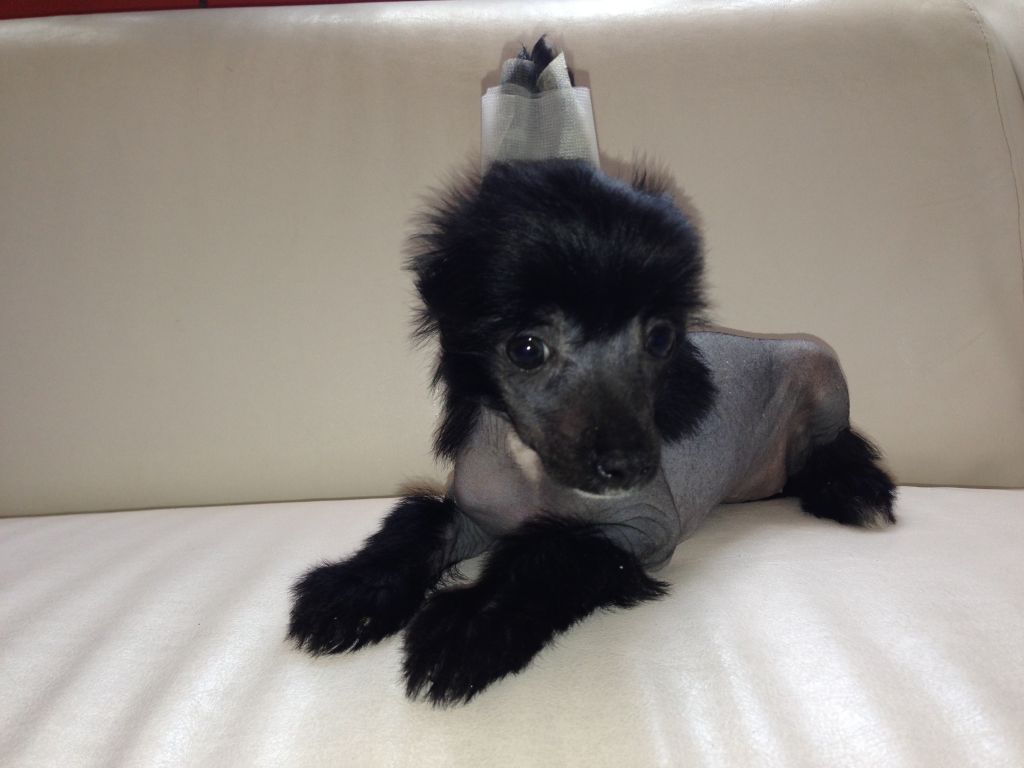 Naiomi Pantera Martina