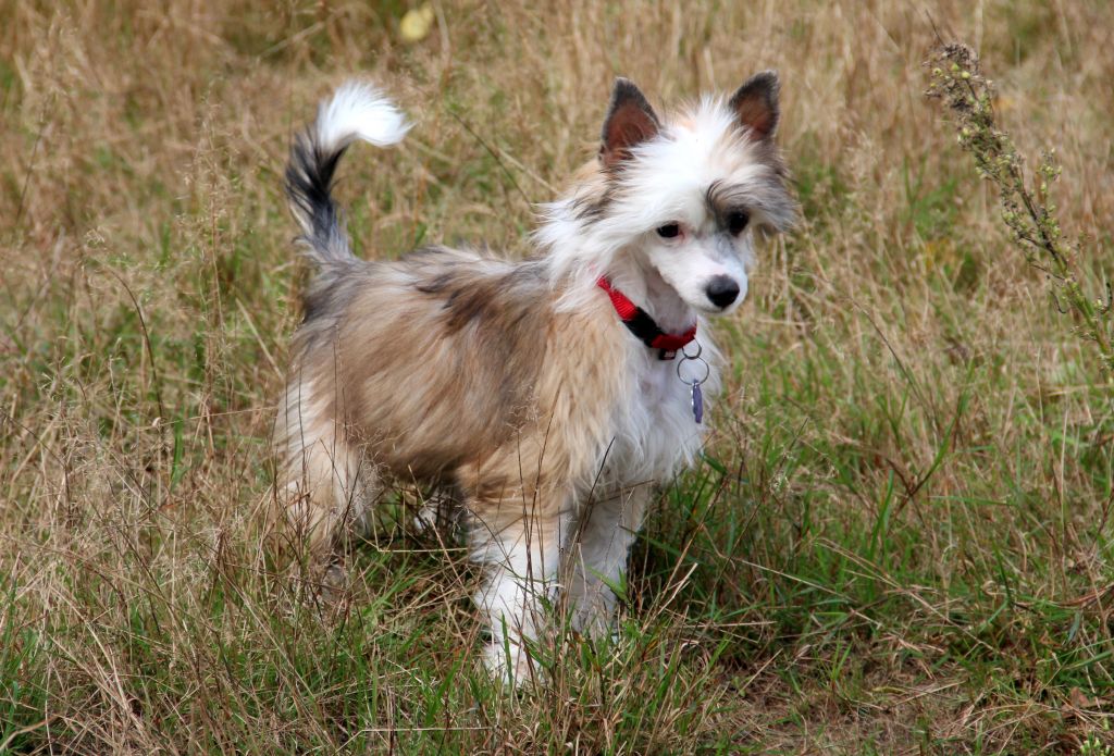 AKWILON Sprawdz w Slowniku