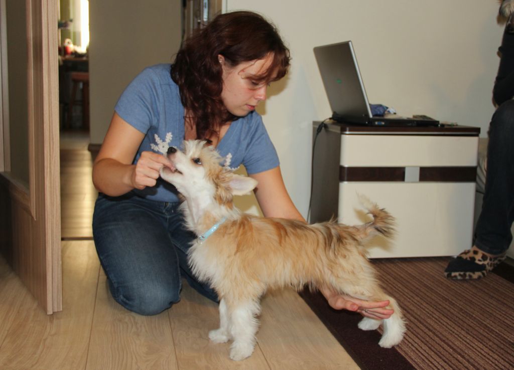 ARBOR Sprawdz w Slowniku