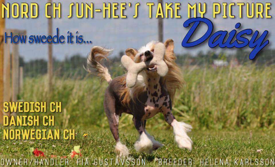 Sun-Hee's Take my Picture