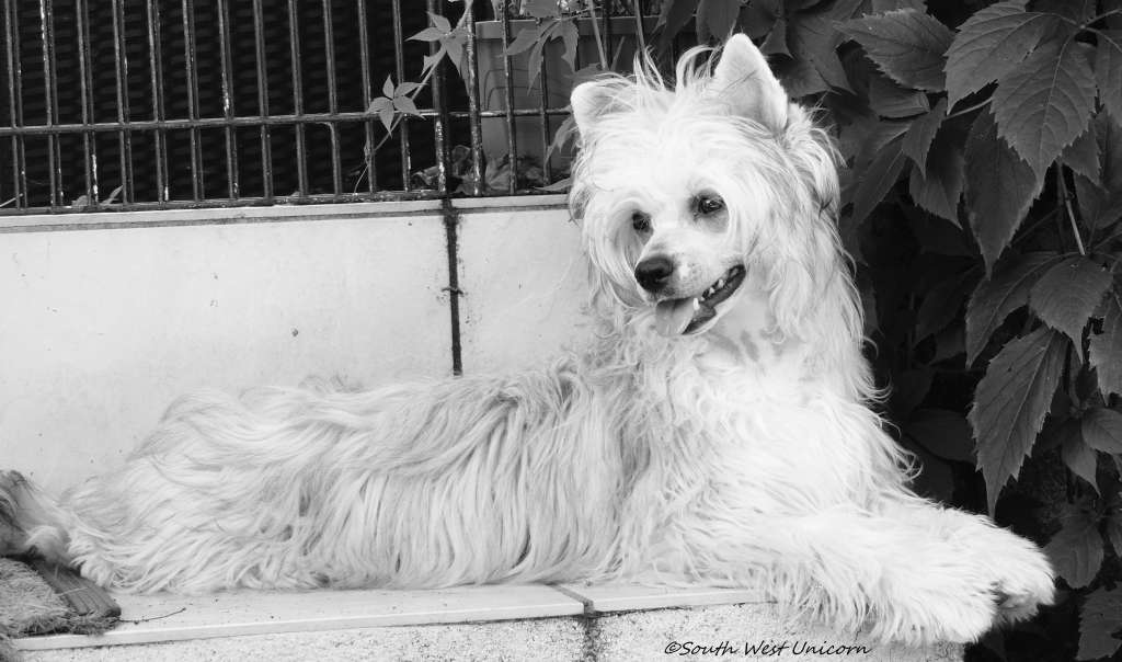 Miss France Top Model De Rama