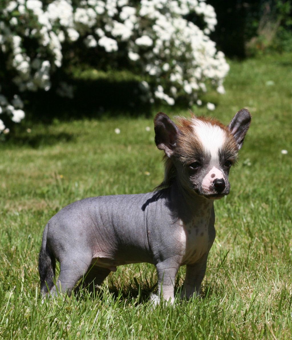 Lisar's Ralph Lauren