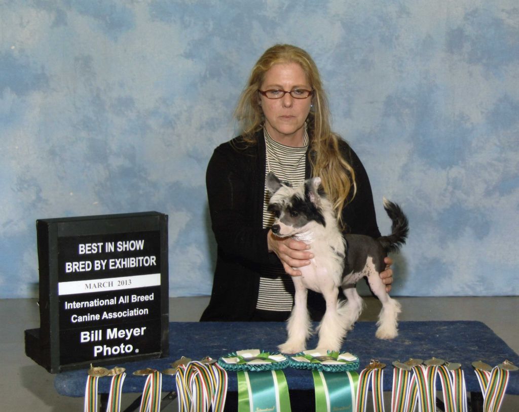 I Got Hooked Hi-Ho Sandy