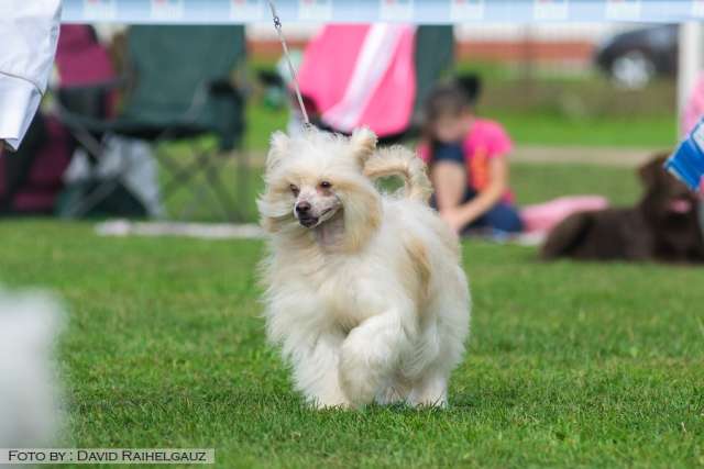 Yanina, The Cute One de Fageiro