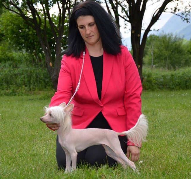 Joyera's Crested Blu Cantrell