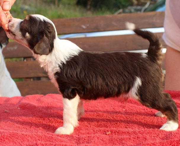 Burlesque Spanking Love