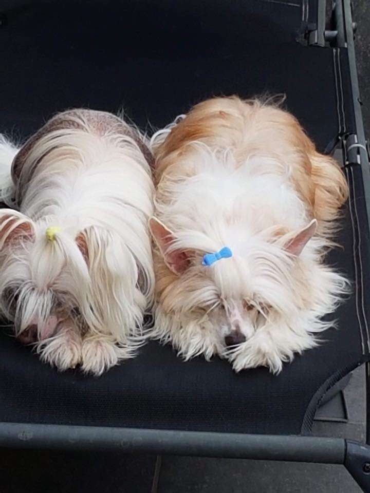 Il était une fois Maya