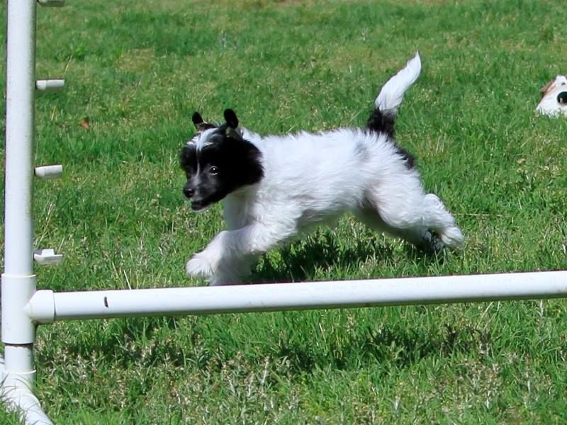 Belews It Is What It Is