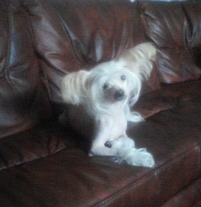 Viktory Sprint Elizabet Benksi