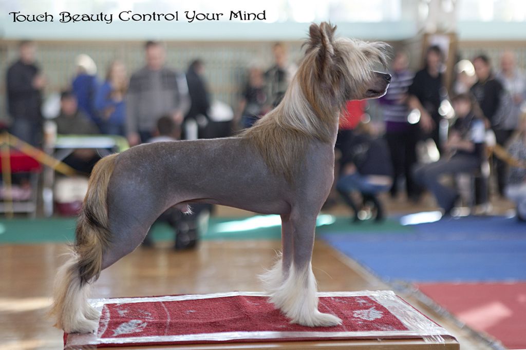 Touch Beauty Control Your Mind