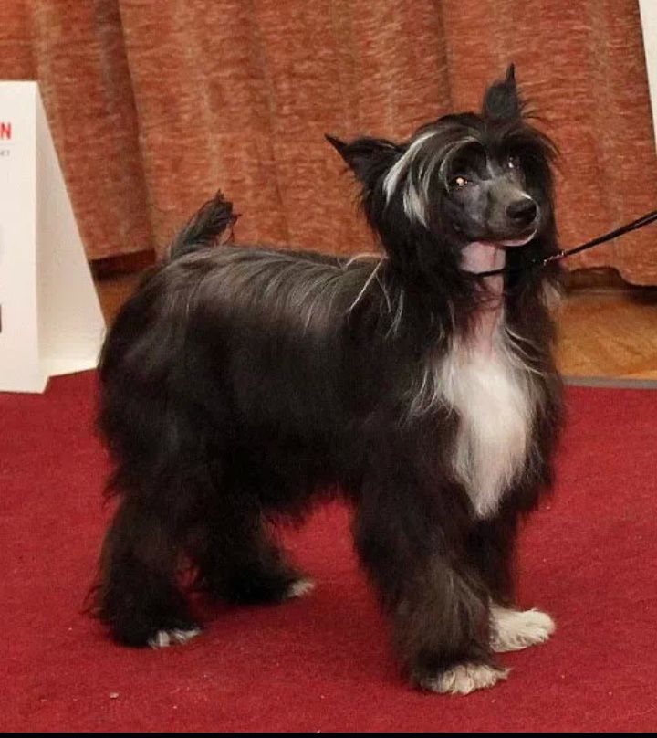 Crest'd Label Sweet and Salty