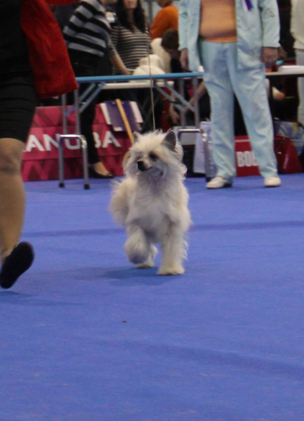 My Vanity Fair Lakantina