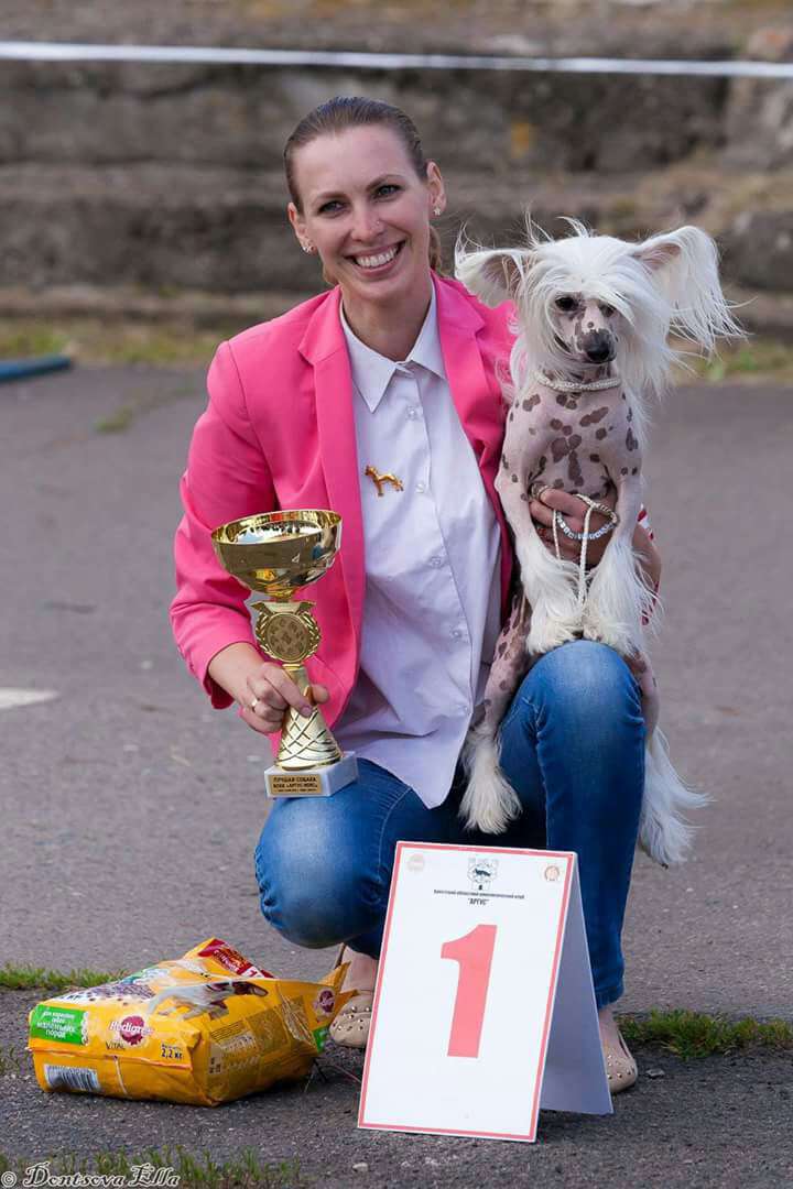 Divnyj Elf Aleksa's House