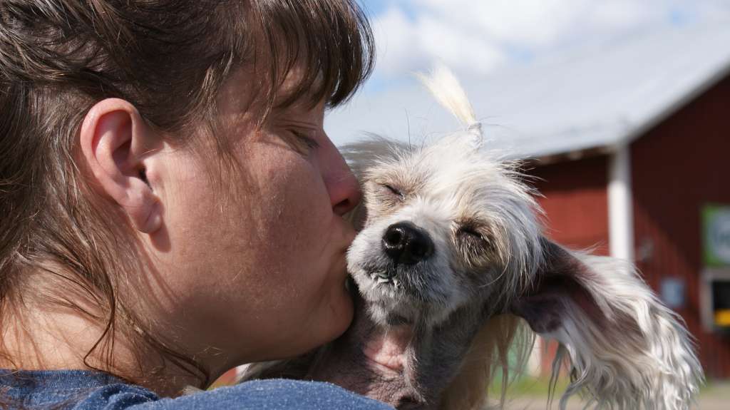 Absolute Magic's Kayla