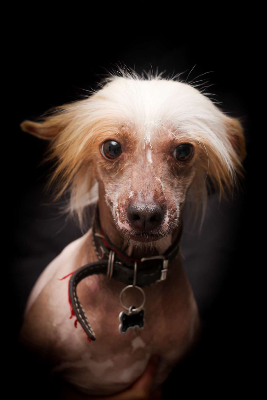 Lucas Ronaldo Tasaro