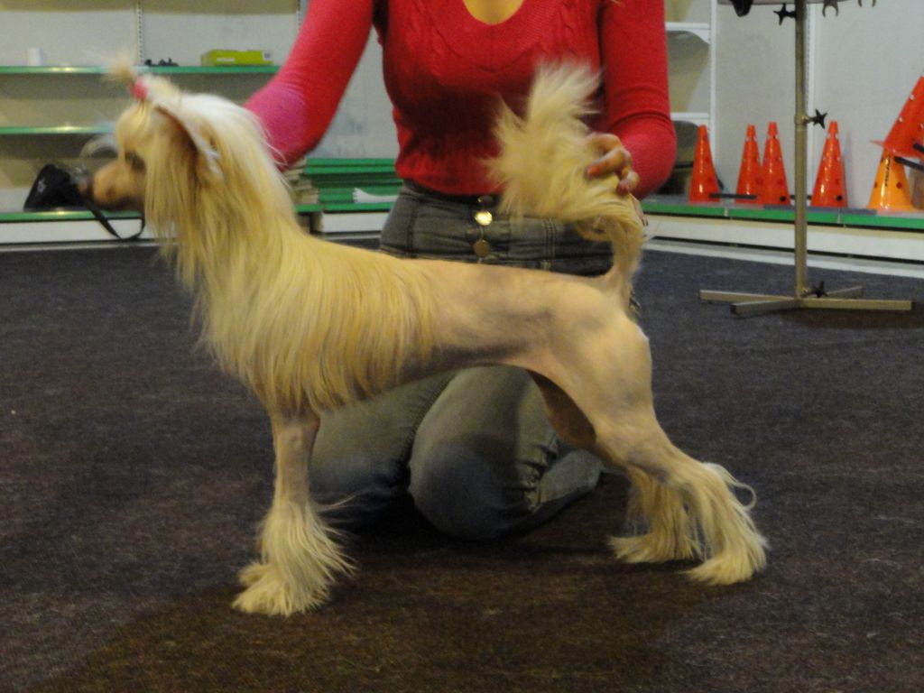 Rus Terra Tiona Corey