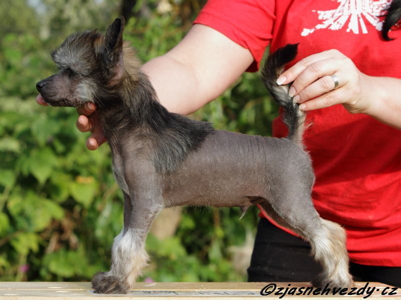 Edguy z Jasne hvezdy