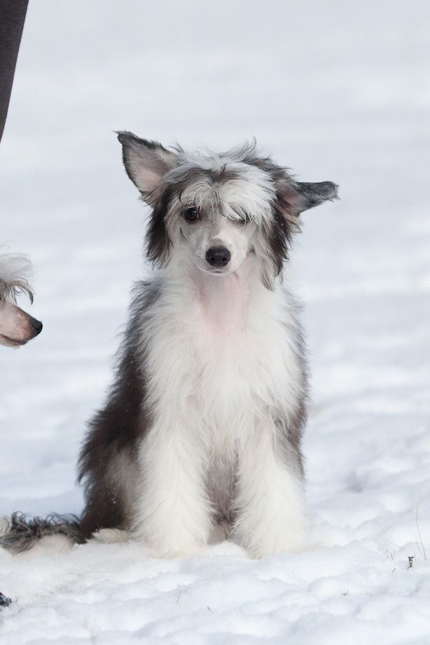 NONI is the source of happiness