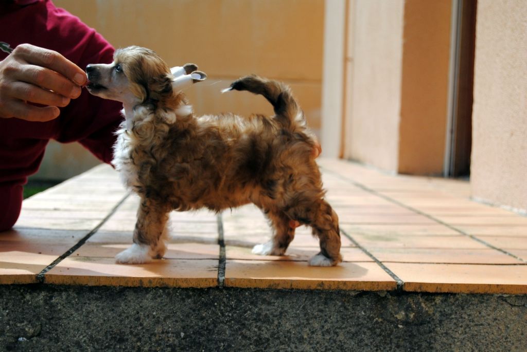 moon harbour indie rock