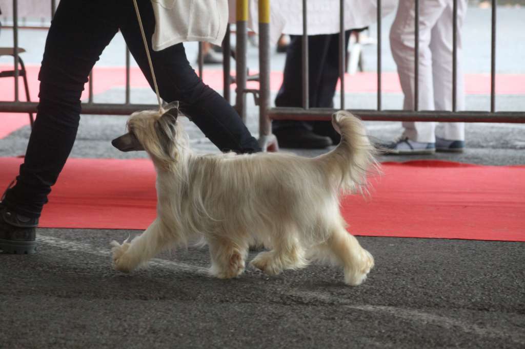 moon harbour instant magic