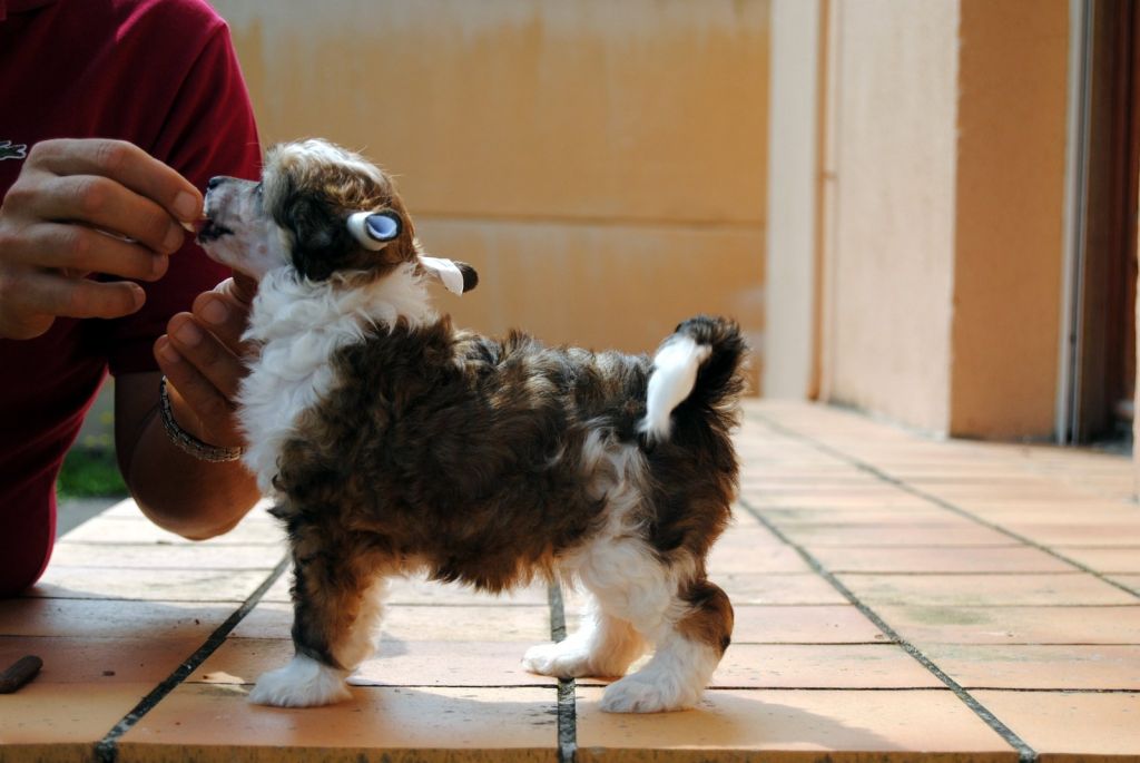 moon harbour i love paris