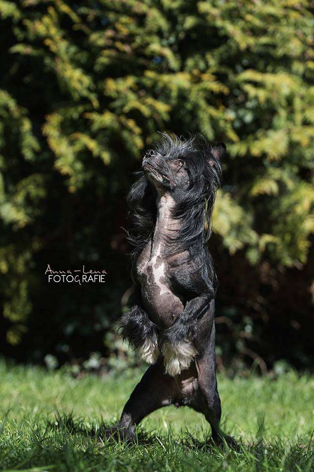 Code Black von Shinbashi