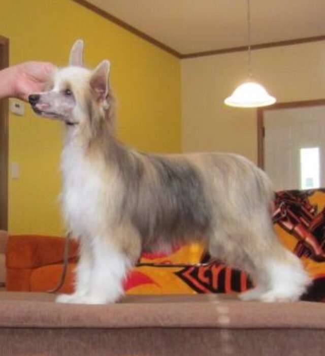 Delende 4-Reil Kiss Me Again