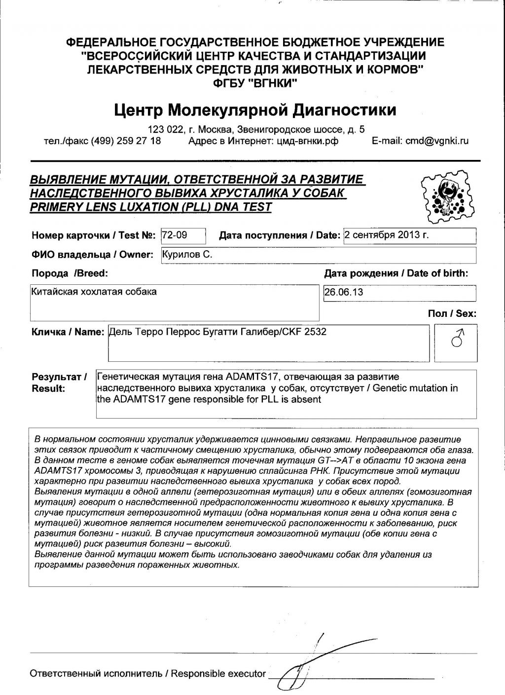 Del Terro Perros Bugatti Galiber