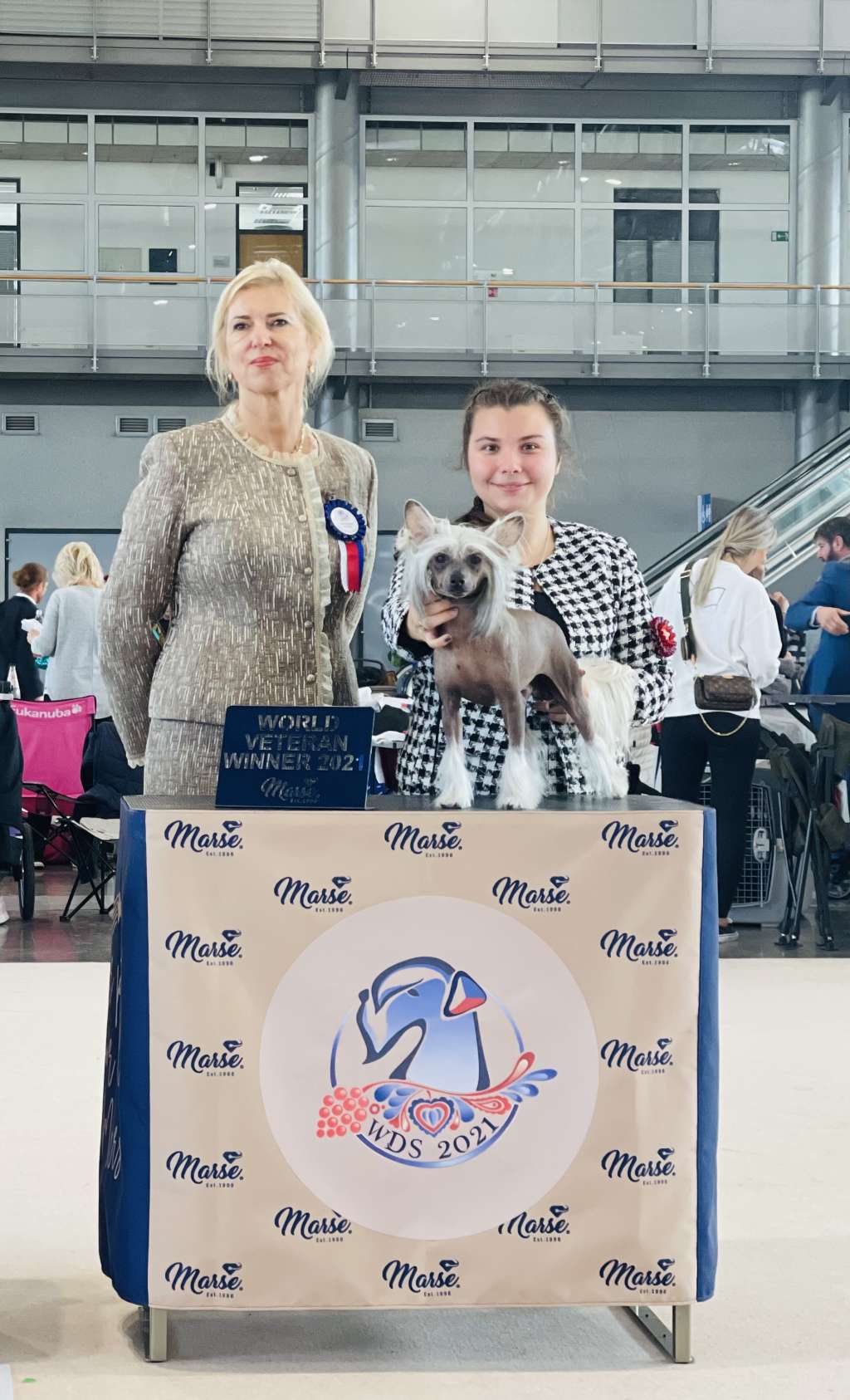 Magic of Success Just Win VWW-21