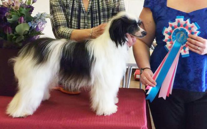 Sunstreaker Not Rocket Science