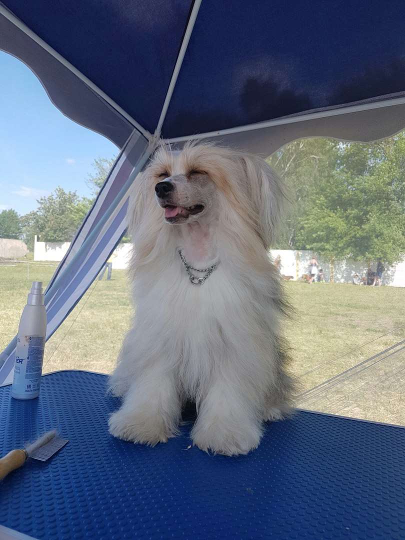 Eva Star Aleksa's House