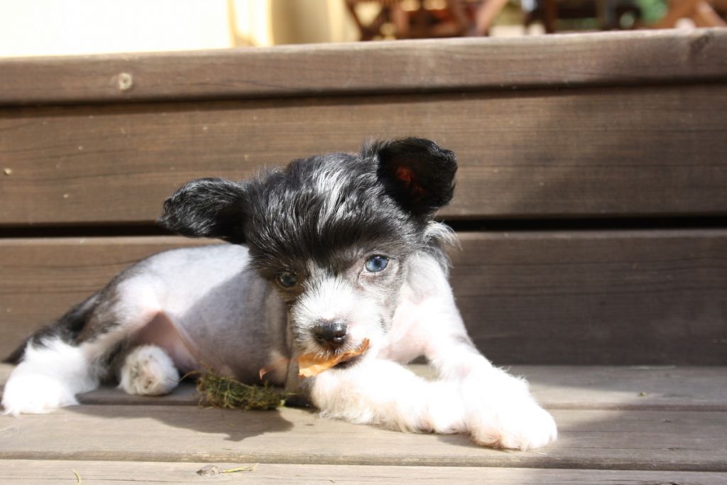 Valanyan Like A Prayer