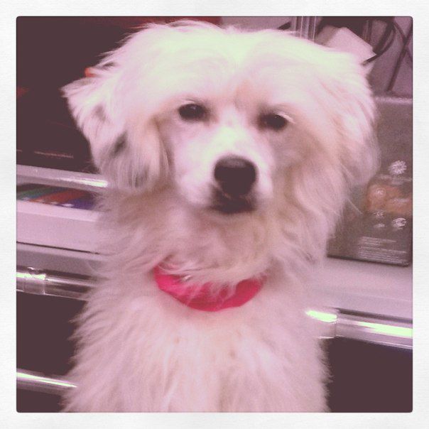 Egipetski Princ Aleksa's House