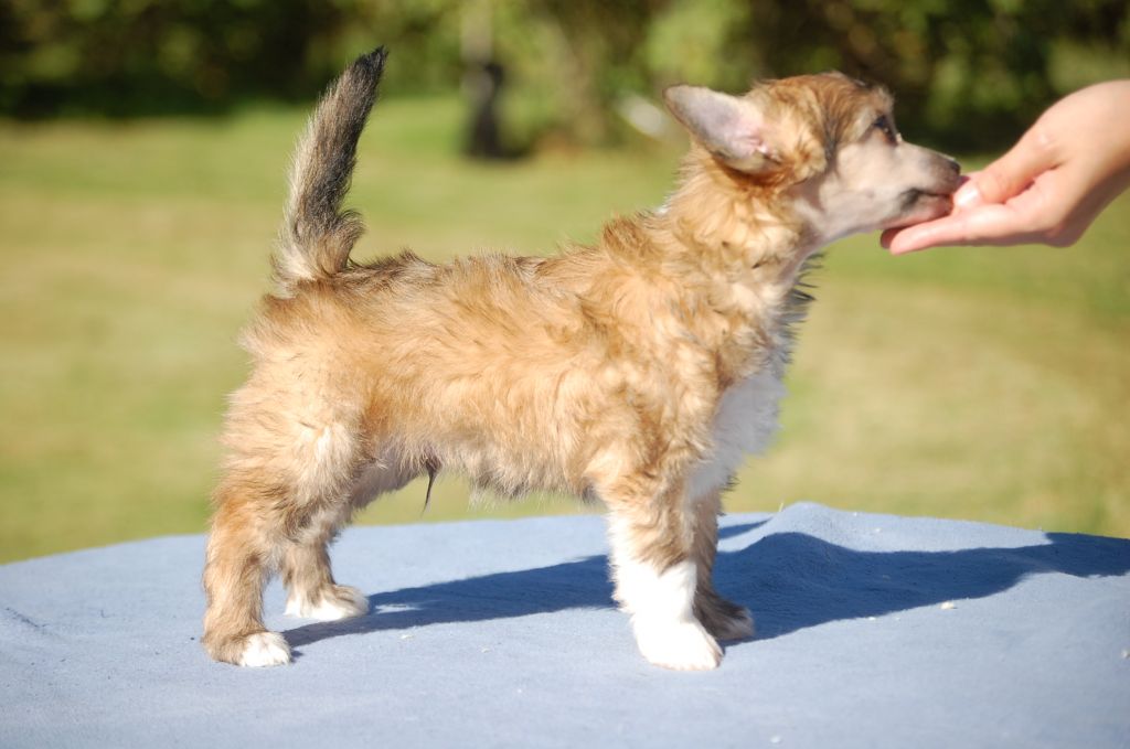 Pinky Twinky Nickname Napoleon