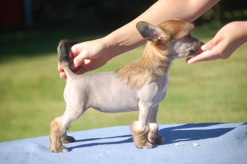 Pinky Twinky Note To Self