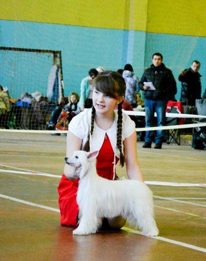 NATALIS DOMINI Sharlin Zhemchuzhinka