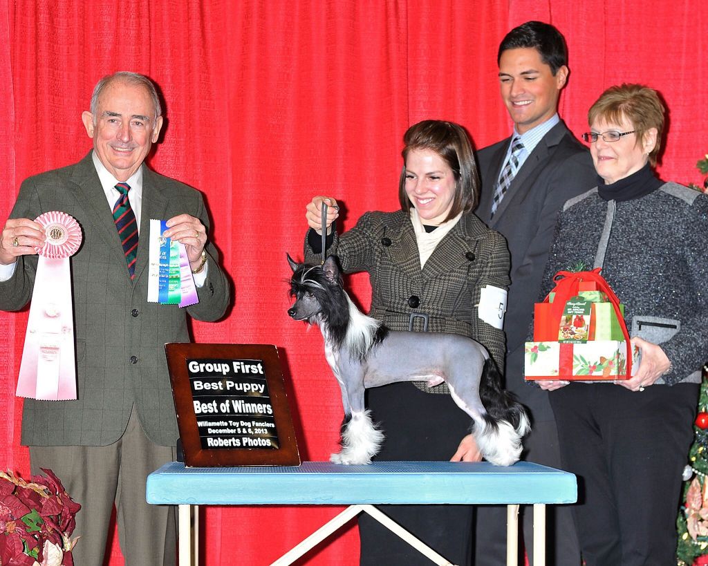 Am Ch Daretobebare it's a black tie affair