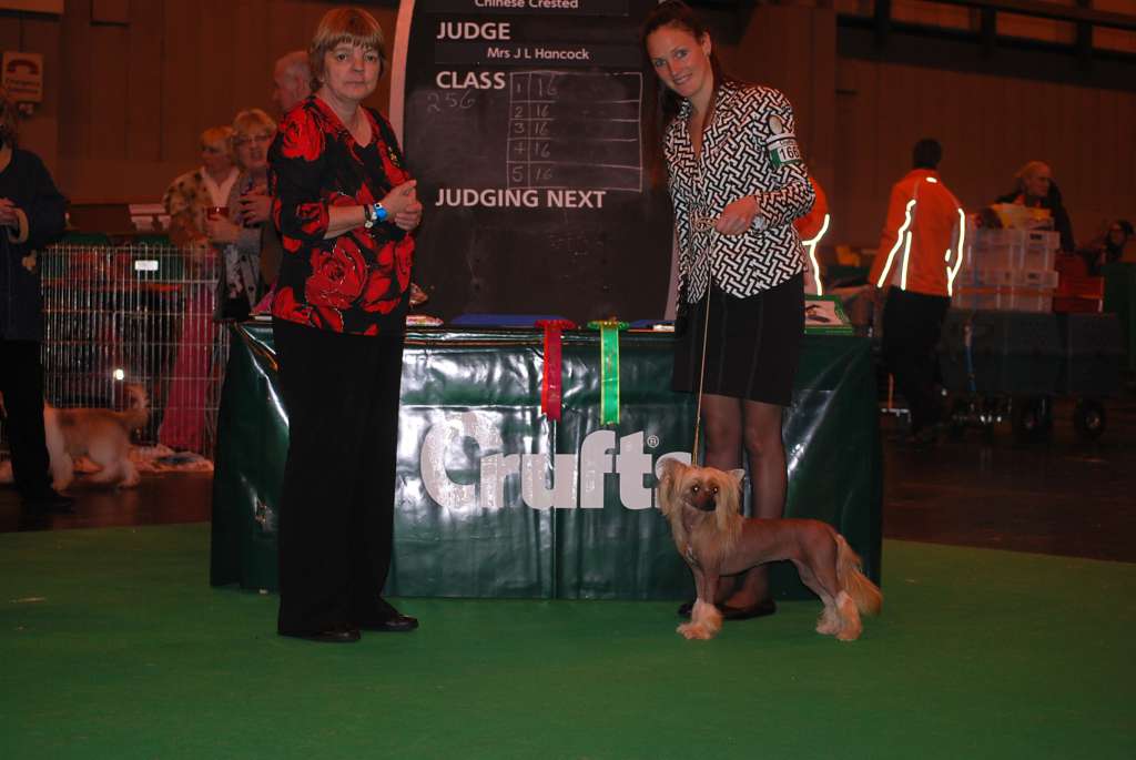 Little Dog Of Dream Irresistible Isis