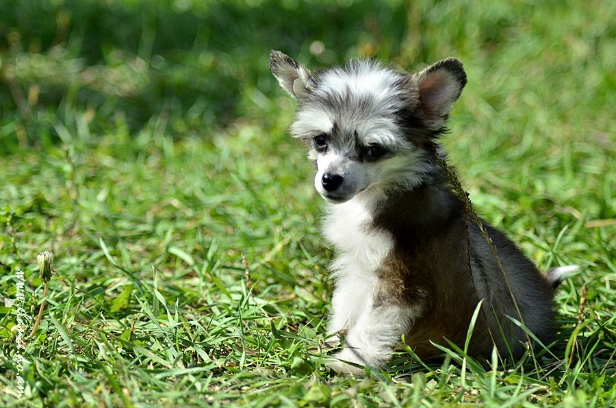 Elance Louange Jean Amor