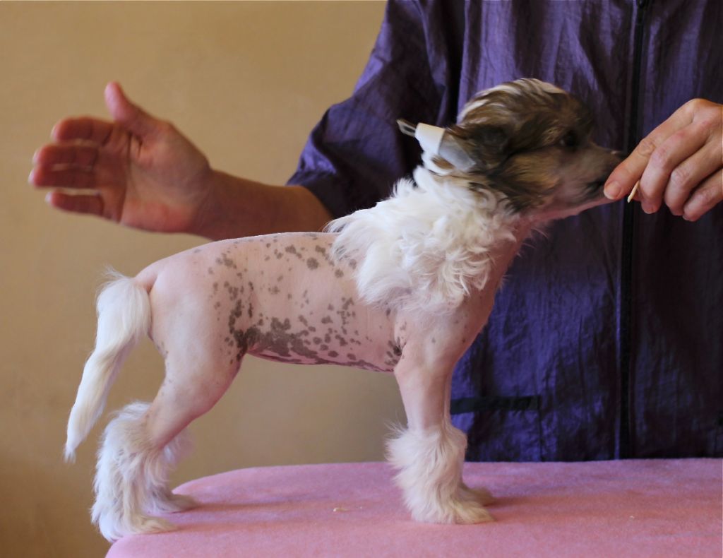 BCNU Merry Legs McPhee