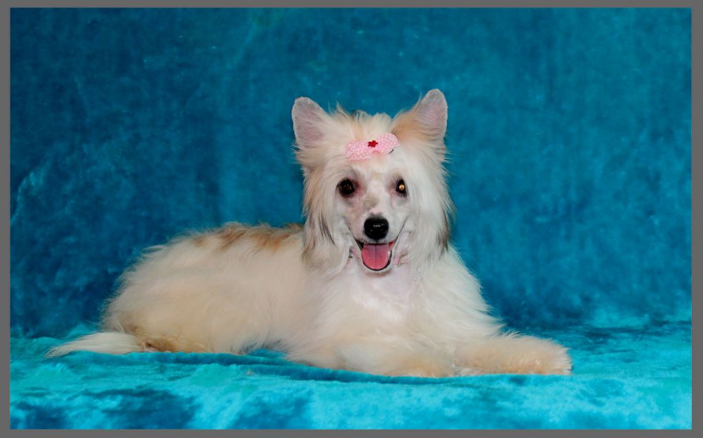 Orero Lovely Katarina Vitt