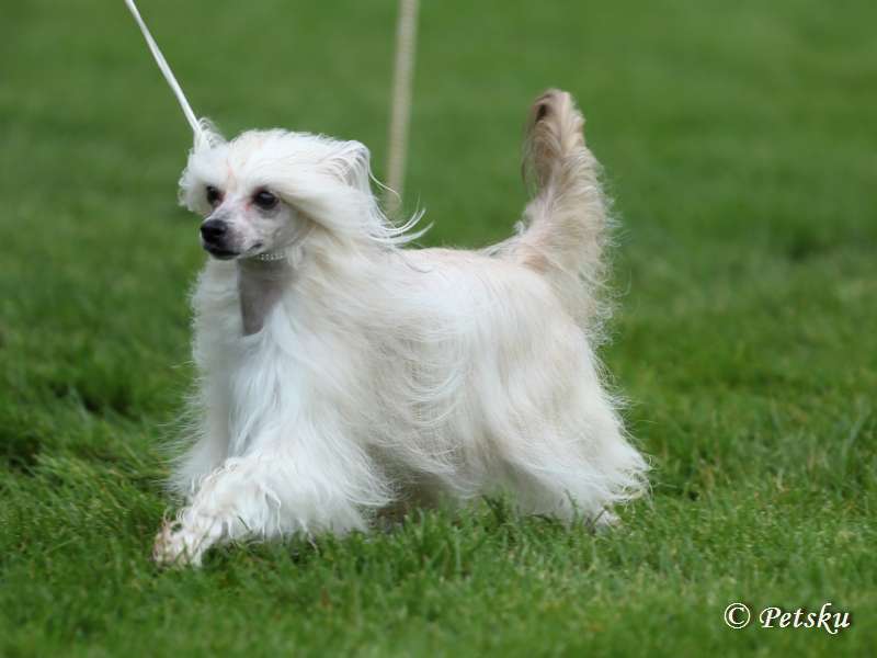 Stormblåstens Rose Coloured Glasses
