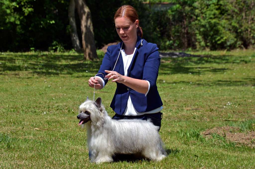 Stars at Sea Richmond