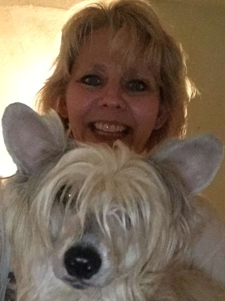 Golden Diamond Crested Lucero