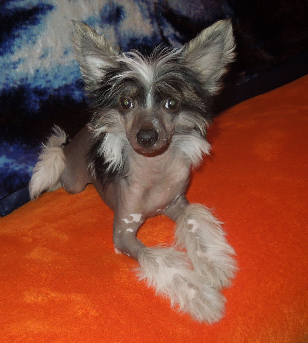 Ioda Du Domaine Forever Young