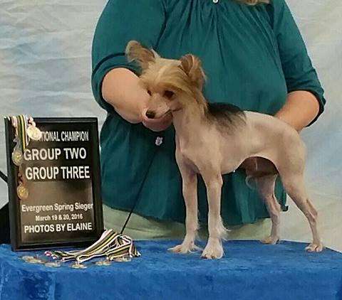 Castlecoves Betty Ford