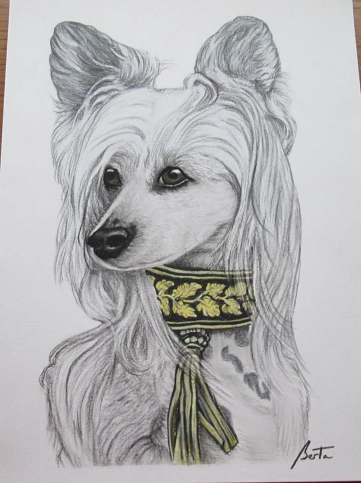 Masquarade Top Model De Rama