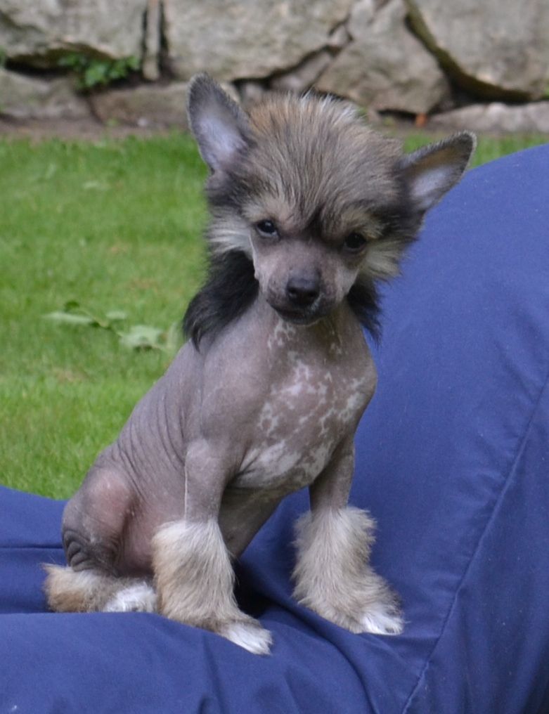 Dragonland Hong Kong