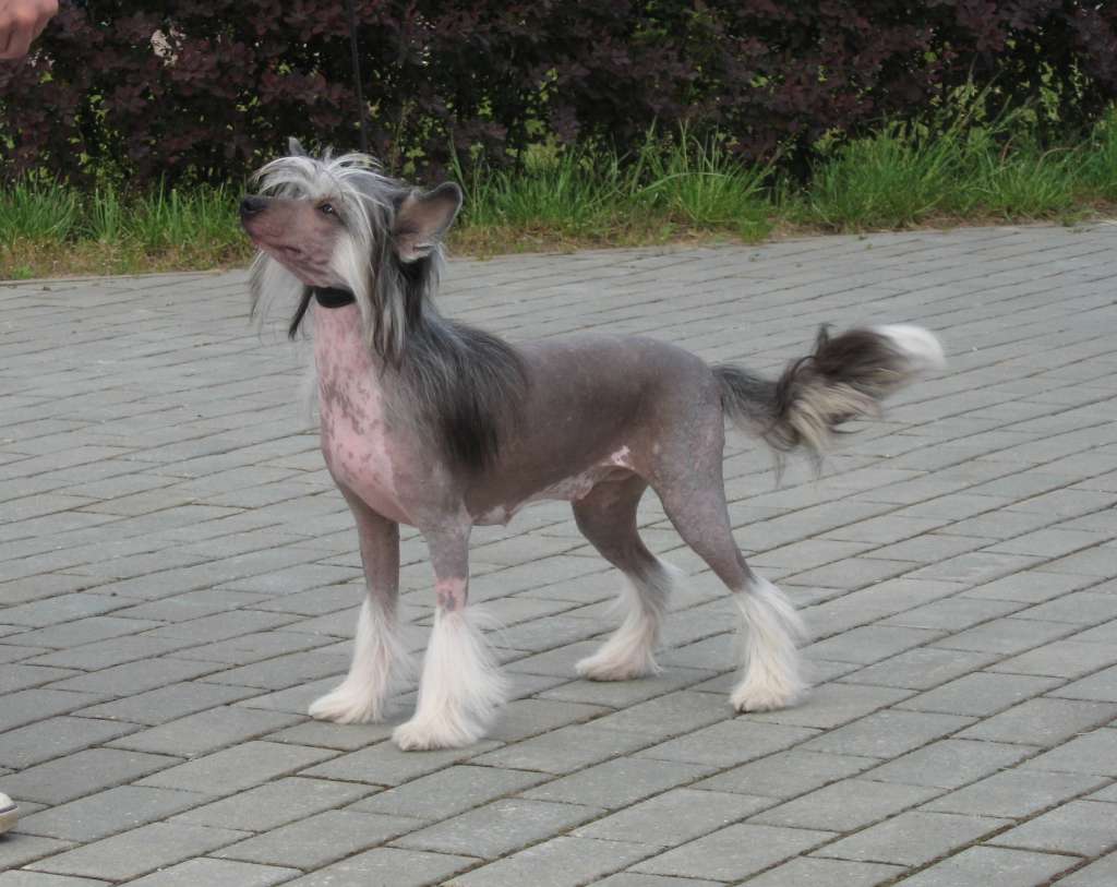 Melanies Rerity Fiesta